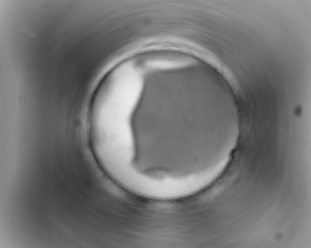 X0000103311522200809191906