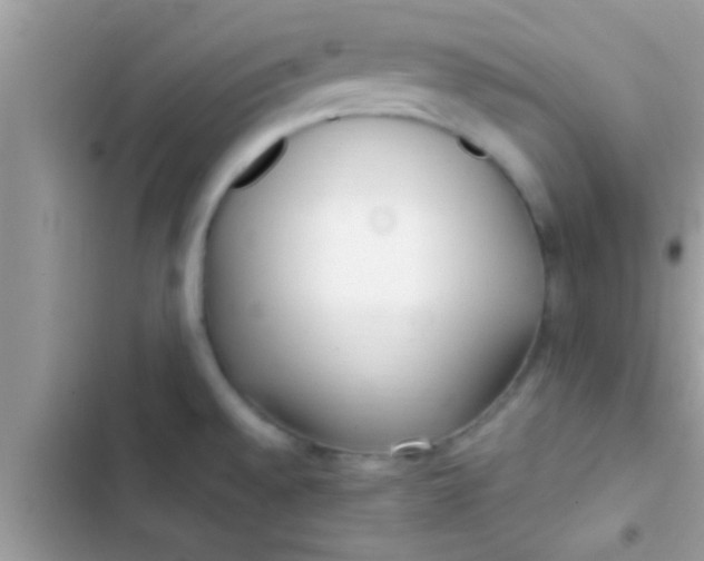 X0000103311528200809191906