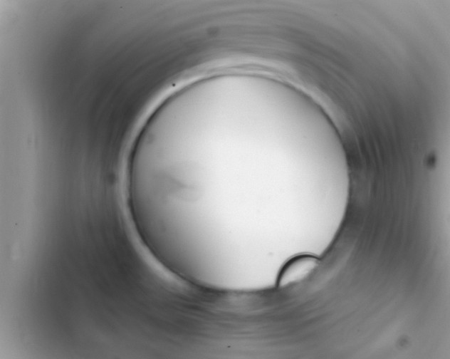 X0000103311531200809191906