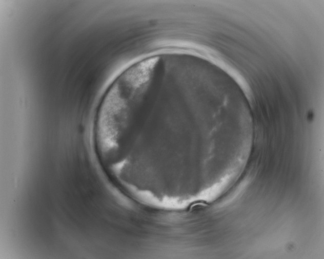 X0000103311533200809191906