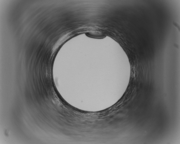 X0000103310004200809261347