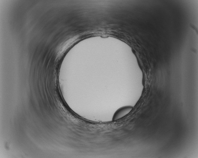 X0000103310005200809261347