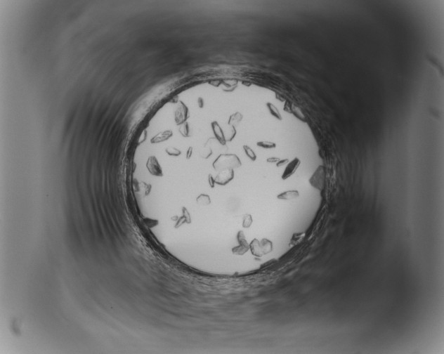 X0000103310006200809261347