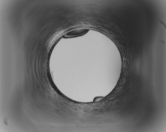 X0000103310007200809261347