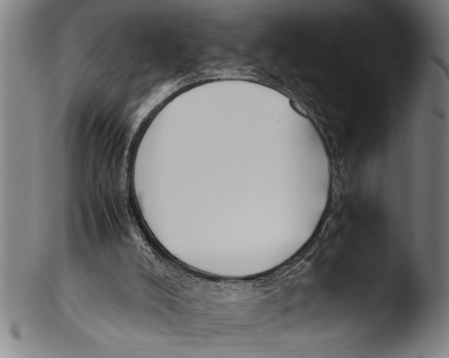 X0000103310008200809261347