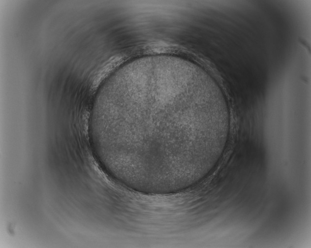 X0000103310010200809261347