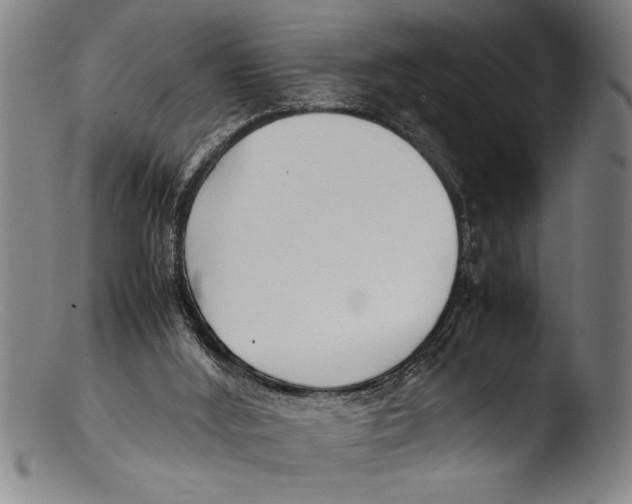 X0000103310012200809261347