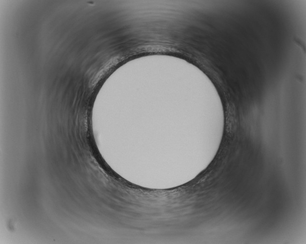 X0000103310015200809261347