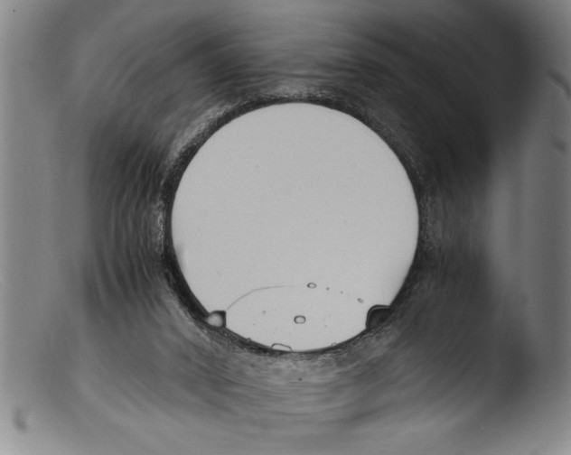 X0000103310016200809261347