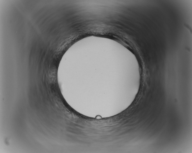 X0000103310017200809261347