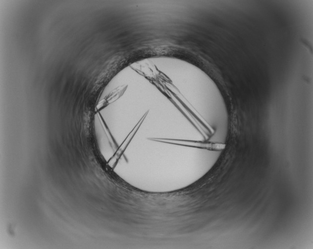 X0000103310018200809261347
