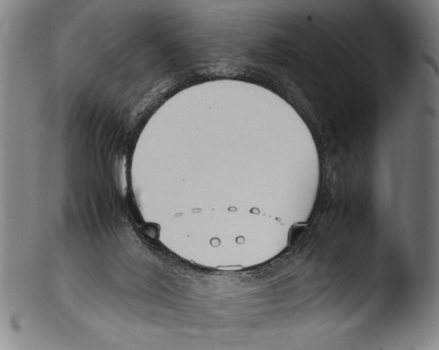 X0000103310020200809261347