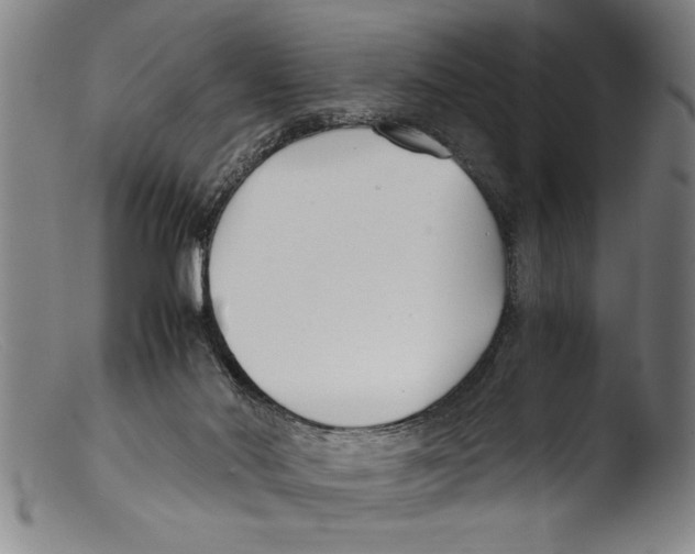 X0000103310022200809261347