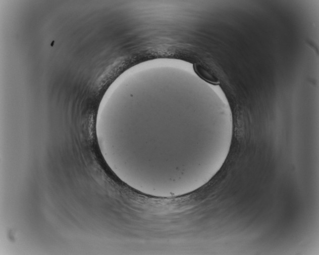 X0000103310023200809261347