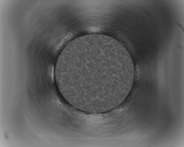 X0000103310024200809261347