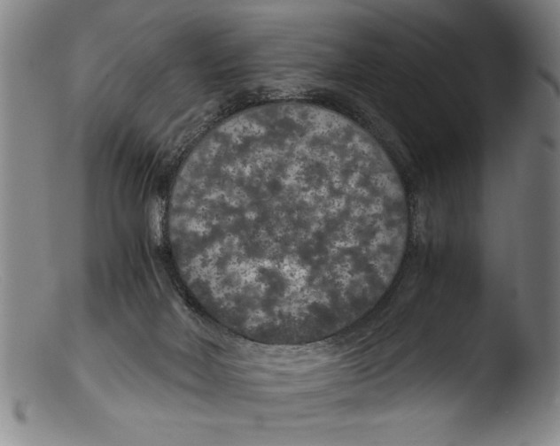 X0000103310026200809261347