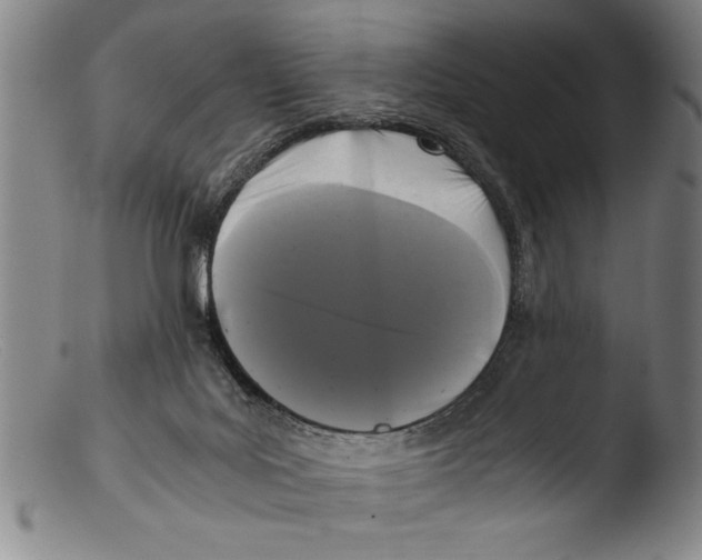 X0000103310027200809261347