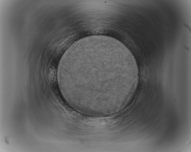 X0000103310029200809261347