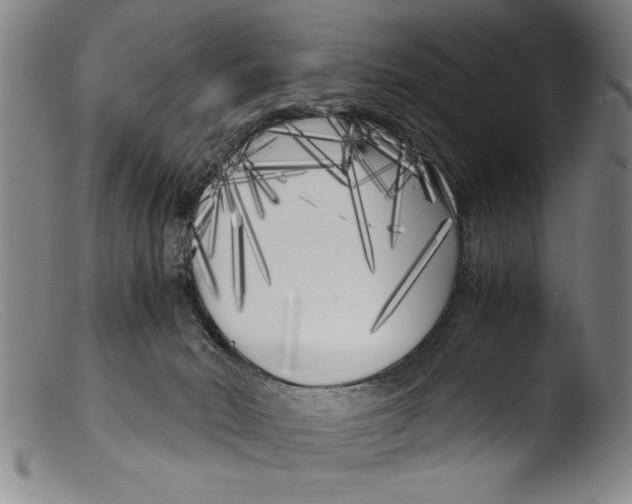 X0000103310030200809261347