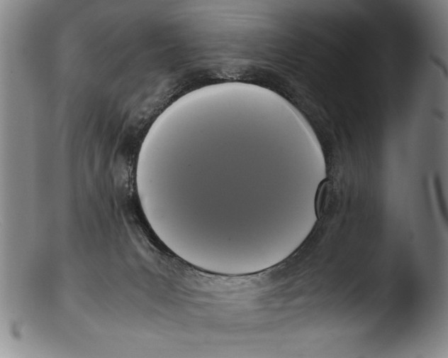 X0000103310031200809261347