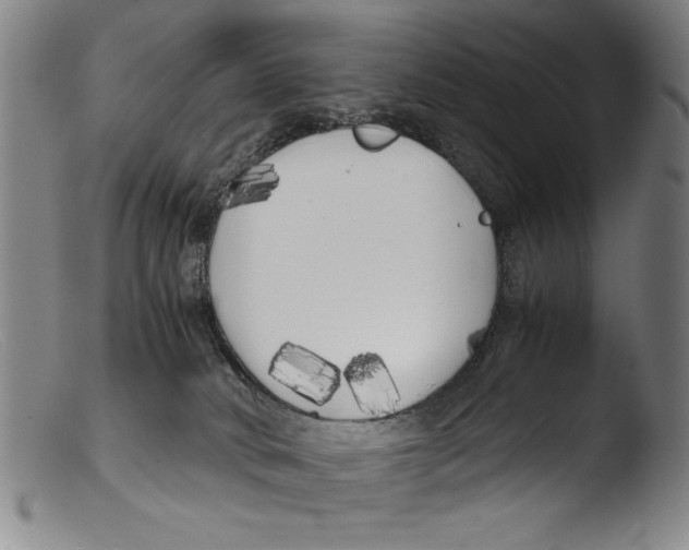 X0000103310034200809261347