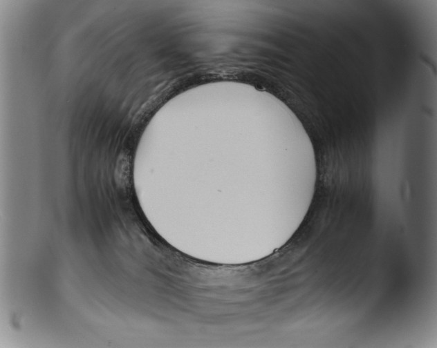 X0000103310036200809261347