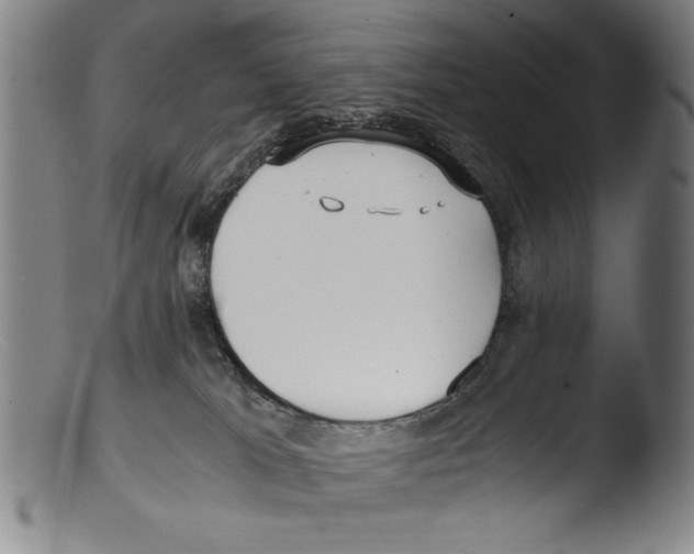 X0000103310037200809261347