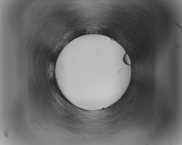 X0000103310038200809261347