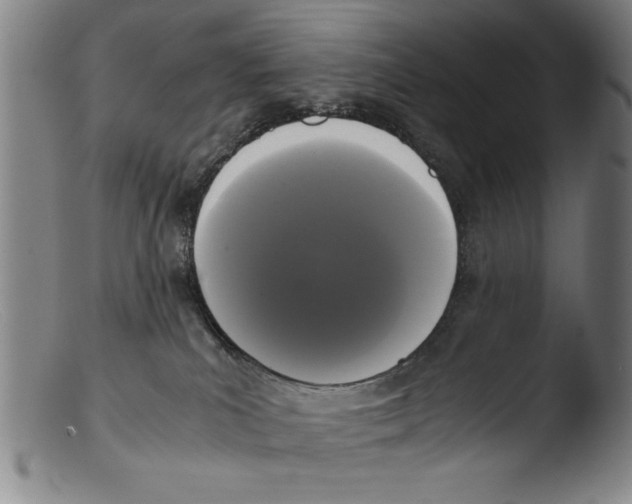 X0000103310039200809261347