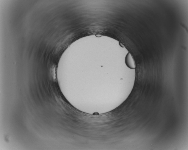 X0000103310042200809261347