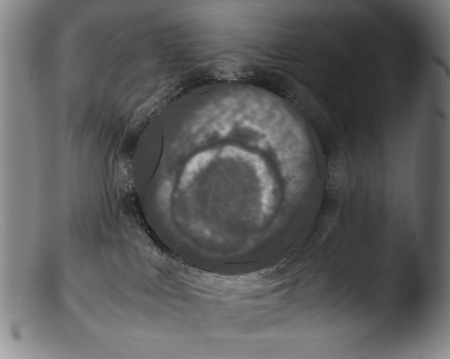 X0000103310043200809261347