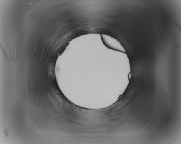 X0000103310044200809261347