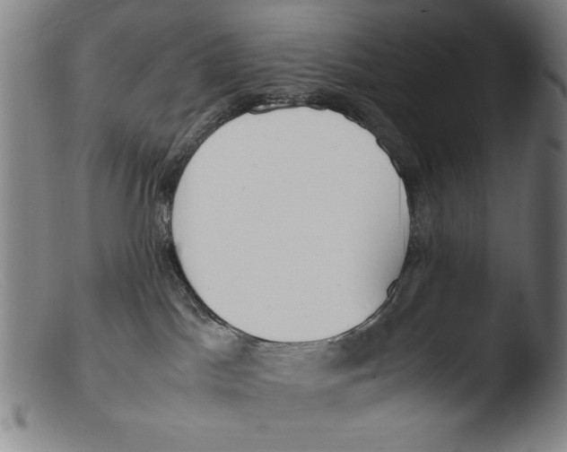 X0000103310045200809261347