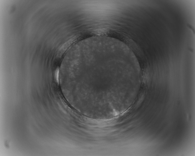 X0000103310047200809261347