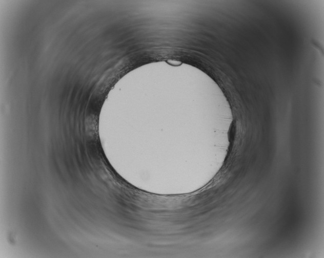 X0000103310048200809261347