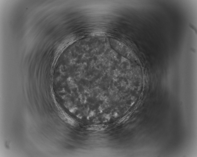 X0000103310049200809261346