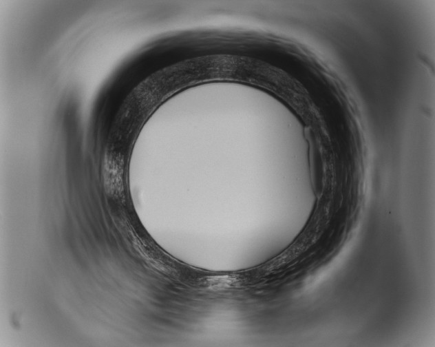 X0000103310050200809261346