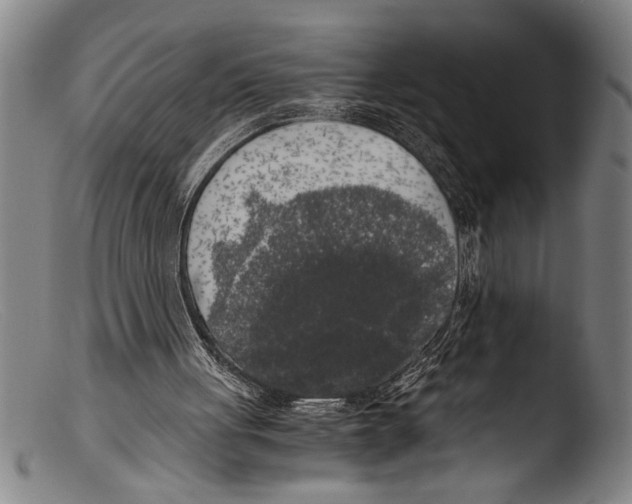 X0000103310051200809261346