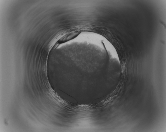 X0000103310052200809261346