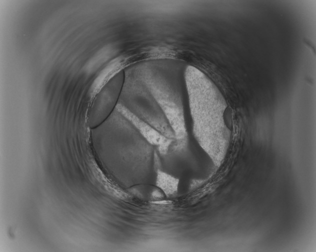 X0000103310053200809261346