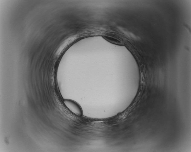 X0000103310054200809261346