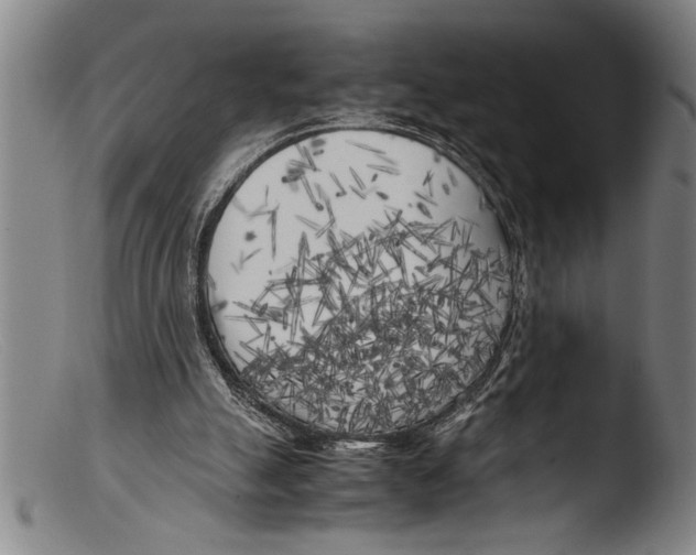 X0000103310055200809261346