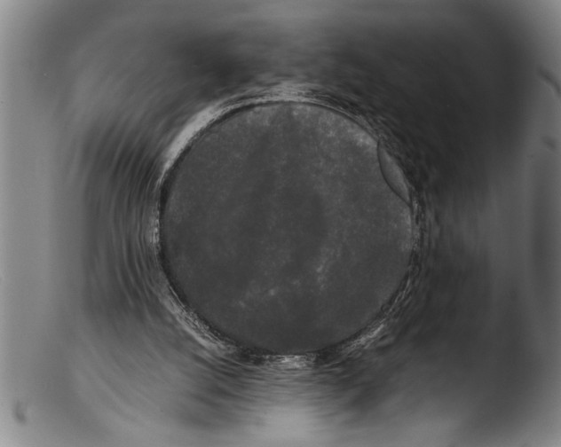 X0000103310056200809261346