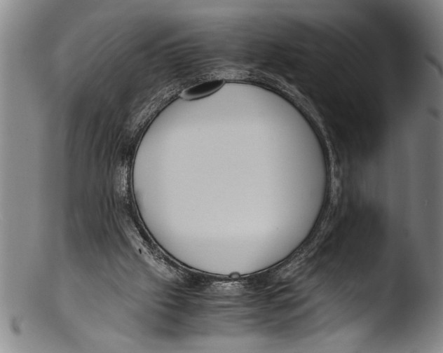 X0000103310057200809261346