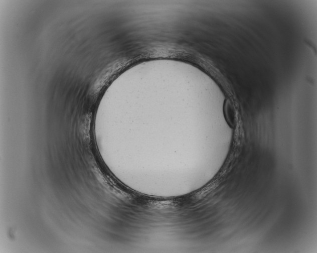 X0000103310058200809261346