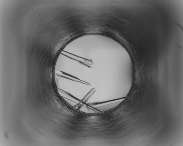 X0000103310059200809261346