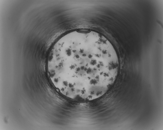 X0000103310060200809261346