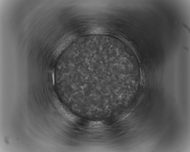 X0000103310061200809261346