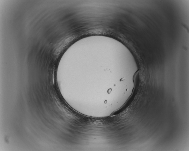 X0000103310062200809261346