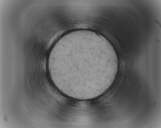 X0000103310064200809261346